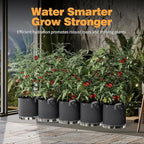 Self-Watering Grow Bags, 5-Pack 3 Gallon 420G Thick Nonwoven Fabric Pots with Reinforced Handles and Multi-Purpose Rings, for Low Stress Plant Training Fruits, Vegetables,and Flowers