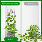 2 Pack 30'' Plant Trellis for Climbing Plants Indoors, Metal Garden Trellis for Potted Houseplant, Rustproof Plant Support for Ivy, Vines, Pothos, Hoya and Flower, Black