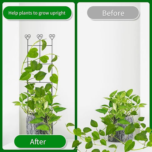 2 Pack 30'' Plant Trellis for Climbing Plants Indoors, Metal Garden Trellis for Potted Houseplant, Rustproof Plant Support for Ivy, Vines, Pothos, Hoya and Flower, Black