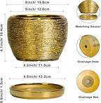 SQOWL Ceramic Planter - 6 Inch Plant Pot Indoor Outdoor, Modern Round Planter with Drainage Hole and Plant Saucer, Decorative Small Flower Pot, Home Decor, Birthday Gifts, Gold
