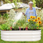 Galvanized Raised Garden Bed - 4×2×1ft (2 Packs) Planter Raised Beds for Gardening | Oval Metal Garden Planter Box with Safety Edging and Gloves for Vegetables Fruits and Flower (White)