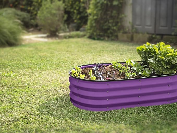 Plant & Plot Galvanized Raised Garden Beds Outdoor // 4×2×1 ft (2-Pack) Planter Raised Beds for Gardening, Vegetables, Flowers (Purple) // Large Metal Garden Box