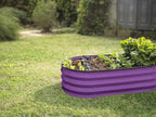 Plant & Plot Galvanized Raised Garden Beds Outdoor // 4×2×1 ft (2-Pack) Planter Raised Beds for Gardening, Vegetables, Flowers (Purple) // Large Metal Garden Box