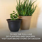 The HC Companies Sierra Round Self-Watering Pot - Lightweight Plastic Planter for Herbs & More - Durable Plant Pots for Indoor Plants & Outdoor Plants (16” Celtic Bronze, Pack of 2)