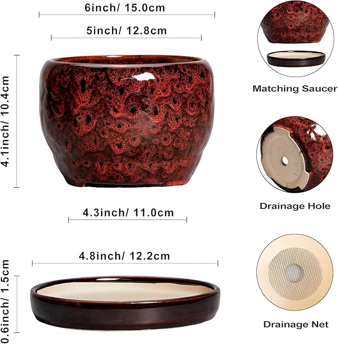 SQOWL Ceramic Pot for Plants - 6 Inch Plant Pot Indoor with Drainage Hole and Saucer, Decorative Flower Pot Outdoor, Round Succulent Planter, Front Porch Decor, House Warming Gifts New Home, Red