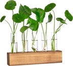 Terrariums Propagation Station with 5 Glass Test Tubes and Wooden Stand, Brown