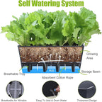 Window Box Planter 6 Pcs, 16.5 Inches Self Watering Rectangle Flower Plant Pots with Drainage Holes Trays, Vegetable Planters for Windowsill Patio Garden Balcony Porch Yard (Black)