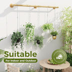 Bamworld Plant Hanger Indoor Hanging Planters for Indoor Plants Hanging Plant Holder Window Plant Rod Gold Metal Shelves 63 Inch