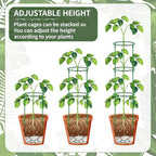 36 Pack Plant Support Stakes Sets - Versatile Plant Cages, Stackable Garden Flower Support， Small Plant Stakes for Indoor Plants,Tomato,Monstera, Peony, Hydrangea, Climbing Plants