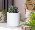 Planters Set of 6, 4 Inch White Plastic Modern Pots with Drainage Holes