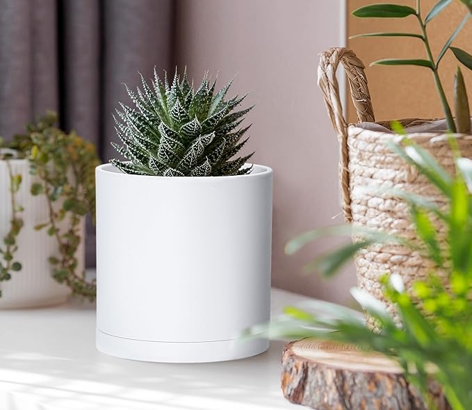 Planters Set of 6, 4 Inch White Plastic Modern Pots with Drainage Holes