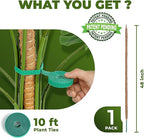 48 Inch Bendable Moss Pole Monstera Plant Support for Climbing Indoor Plants - Stakes for Potted Climbers - Tall Sticks Indoor Trellis for Houseplants - Accessories for Monstera Pot