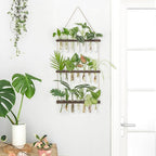 Mkono Plant Propagation Tubes, 3 Tiered Wall Hanging Terrarium with Wooden Stand & 21 Test Tube Vases for Hydroponic Plant Cutting & Home/Office Decor