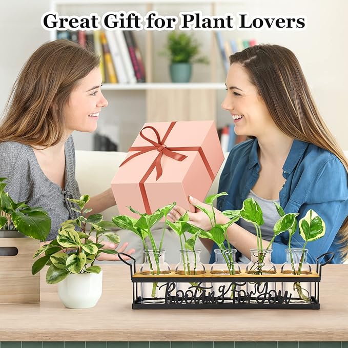 Terrarium Propagation Station with 5 Glass Jars and Black Metal Stand
