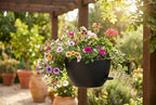 Hanging Planters, 3-Pack 10 Inch Self-Watering Pots with Drainage Holes and Chains, Matte Plastic Planters for Indoor/Outdoor Plant（Black）