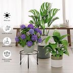 5 Pack Metal Plant Stands Anti-Rust Iron Heavy Duty Potted Holder for Flower Pot Indoor Outdoor Decoration Small Plant Holders for Home Garden