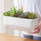 FAMZ Self Watering Pots for Indoor Plants 3 Pack Transparent Rectangular Planting Self Watering Planter，Vegetable Planters for Windowsill Patio Garden Balcony Home Porch Yard Indoor Outdoor (White)