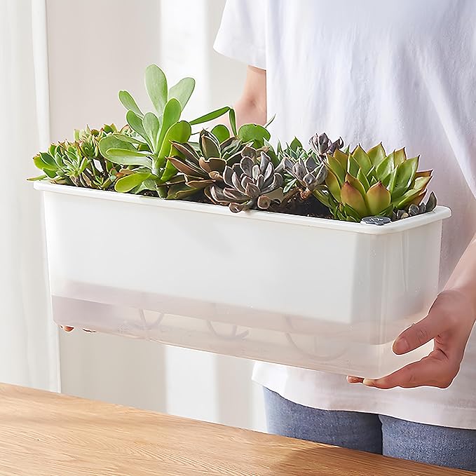FAMZ Self Watering Pots for Indoor Plants 3 Pack Transparent Rectangular Planting Self Watering Planter，Vegetable Planters for Windowsill Patio Garden Balcony Home Porch Yard Indoor Outdoor (White)