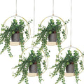 Geelin 4 Pack Plant Hanger with Wood Base Hanging Window Planter Boho Macrame Hanging Potted Plant Holders for Indoor Outdoor Window Wall Ceiling Home Decoration, Pot & Sapling Not Included(Gold)