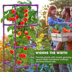 3 Pack Tomato Cages, Square Tomato Plant Stakes Support Cages Trellis for Garden Climbing Vegetables Flowers Fruits,Extra Bold,Purple