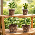 16 Pack 10/8/6/5 Inch Reinforced Large Clear Nursery Pots with Drainage Holes, Transparent Variety Pack Plastic Plant Pot for Vegetable Propagation, Root Cutting, Seed Starting