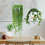 GARDIFE hanging planter, 8 inch hanging planters for indoor. outdoor plants , Self watering plant pot, 2 Pack Large self watering hanging planter (8-White, 8 inch)