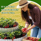 Pyramid Garden Kit, Strawberry garden Planter, 6 ft Diameter Base, Includes 3 Metal Bands, Sprinkler, Gloves, Hose, Plastic Connector for Herbs, Flowers, Ideal Gardening Gift for Yard Patio