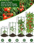 Tomato Cage for Garden,6 Pack Tomato Trellis for Raised Garden Bed Height Adjustable Up to 51.2inch Tomato Plant Support Stakes for Climbing Plants Vegetables Fruits Flowers（Extra Bold）