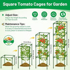 Legigo 4 Pack Square Tomato Cages for Garden- Up to 60 Inch Tomato Plant Support Stakes Cage, Heavy Duty Steel Tomato Trellis Garden Stakes for Raised Garden Bed Climbing Vegetables Cucumbers Flowers