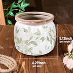 Flower Pot,Vintage Ceramic Pot for Planter with Drainage Holes, 6.29 inch Ice Crack Glazed Indoor Planters Pot for Indoor,Tucan Home Decor,Gardening Gifts (Vintage)