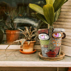 Abstract Face Planters Pots Head,Unique Head Planter for Indoor Plants,Funny Face Flower Pot,Colorful Plant Pots for Outdoor Garden Decor and Home Art Decoration(Classic)