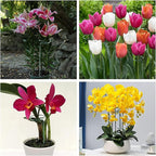 Joyhalo 20 Pack Plant Support Stakes 36 Inches, Plant Stakes, Flower Stakes with 24 Twist Ties, Garden Sticks for Plants Hibiscus, Sunflower, Red Hot Poker, Hydrangea, Tomato, Sapling Etc