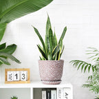 Gepege 8 Inch Plant Pot for Plants, Ceramic Planter with Drainage Holes and Saucers for Indoor Plants Large Flower Pot