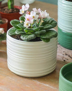 Self Watering Pots for Indoor Plants, 6 Inch Ceramic Self Watering Plant Pot, Planter Pot with Wick Rope and Drainage Hole for African Violet Succulent Herbs (White Matte)