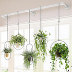 Bamworld Window Plant Hanger Indoor 63in Hanging Planters for Indoor Plants Hanging Plants Holder Hanging Rod Window Plant Shelves Wall Planters Pot/Chain/Plant Not Included (White)