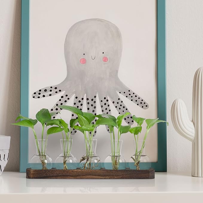 Desktop Terrarium Set: 5 Glass Propagation Vases with Wooden Tray