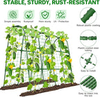 Cucumber Trellis for Raised Bed, U-Shape Garden Trellis for Climbing Plants Outdoor, Metal Arch Trellis for Vegetables, Plant Support for Tomato, Pea, Zucchini(63" L×30" W×47.2" H-Large)