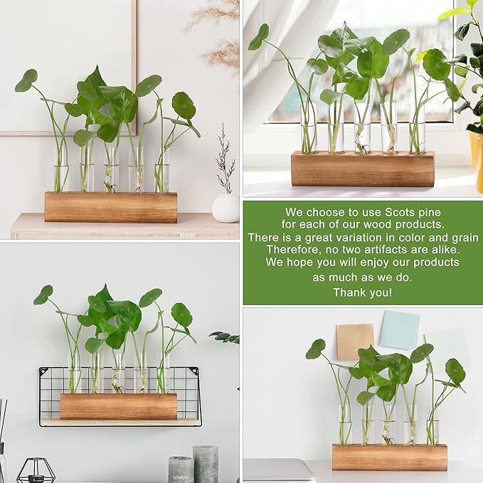 Terrariums Propagation Station with 5 Glass Test Tubes and Wooden Stand, Brown
