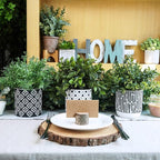 Winlyn 3-Pack Artificial Potted Plants - Faux Eucalyptus, Rosemary, Boxwood Greenery in Small Black & White Geometric Concrete Pots -Desk, Table, Shelf, Windowsill Decor for Indoor Outdoor Home Office