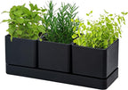 D'vine Dev Herb Garden Planter Set, Plastic Plant Pots with Drainage and Saucer, Indoor Succulent Cactus Vegetable Pot for Windowsill, Garden Balcony, Black, Set of 1, 76-V-B-1