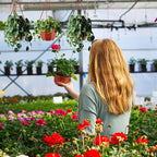 Roshtia 50 Pcs 3.7 inch Plastic Hanging Plant Pots with Hooks Flower Pots Baskets Outdoor Hanging Nursery Planter Holder for Home Garden Balcony Porch(Brown, 3.7 inch)