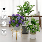 5 Pack Metal Potted Plant Stand Anti-Rust Iron Flower Pot Stands Outdoor Plant Holder,Short Samll Flower Pot Holder Large Rustproof Iron Garden Container