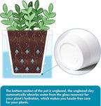 D'vine Dev 4 Inch Design Self Watering Planter for Indoor Plants, White Terracotta Pots with Cylinder Glass Cup, 37-X-A-2