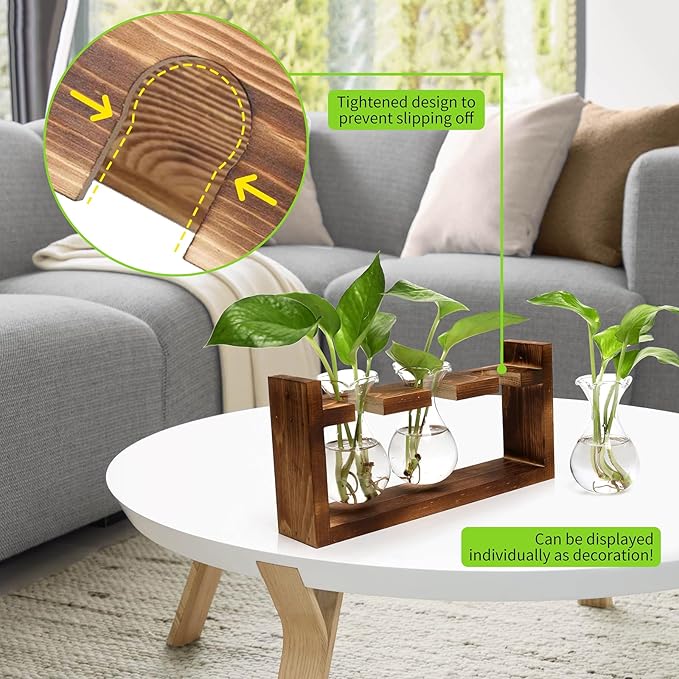 Terrarium Set of 3 Borosilicate Glass Bulbs with Wooden Stand
