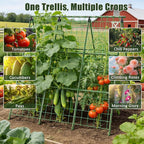Miory Cucumber Trellis for Raised Beds, 48 x 48 Inch Metal A-Frame Garden Trellis for Climbing Plants Outdoor with Climbing Net, Plant Support for Cucumber Tomato Bean Pea