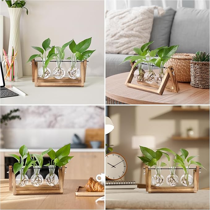 Terrarium Propagation Station with 3 Glass Bulb Vases and Brown Wood Stand