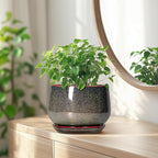 G EPGardening 7 Inch Ceramic Pots for Plants - Ceramic Planters for Indoor Outdoor Plants, Round Plant Pots with Drainage and Saucer, Modern Planter, House Decor, Plant Lover Gifts, Speckled Brown