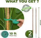 2 Pack 48'' Bendable Moss Pole Monstera Plant Support for Climbing Indoor Plants - Stakes for Potted Climbers - Tall Sticks Indoor Trellis for Houseplants - Accessories for Monstera Pot