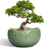 Ceramic Pots for Plants - 13 Inch Large Bonsai Pots Indoor Outdoor, Round Plant Pot with Drainage Hole, Decorative Flower Pot, Modern Unique Planters, Patio Decor, Plant Lover Gifts, Green