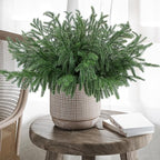 Artificial Norfolk Pine Branches, 24 Pcs 18-Inch Green Christmas Greenery